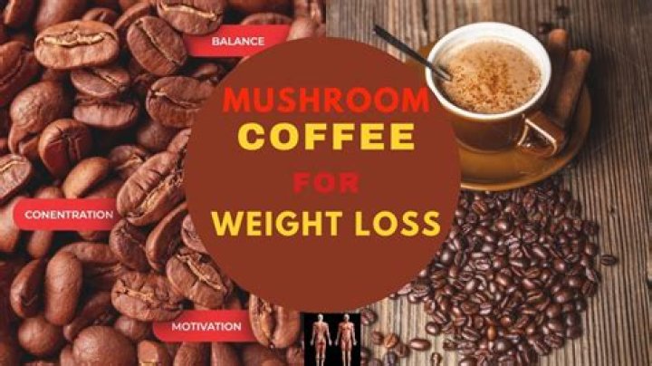 Does Mushroom Coffee Help You Lose Weight? – Celebrity