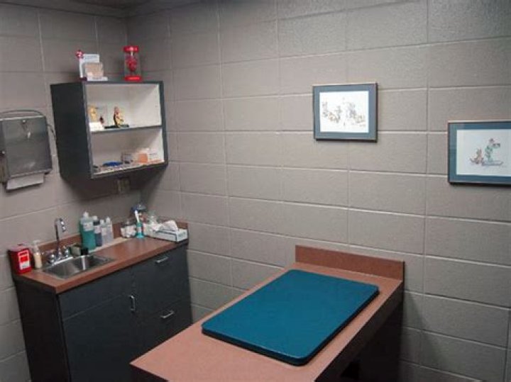 Dr Tracy Tate Obituary, Fort Collins Chappelle Small Animal Hospital Veterinarian