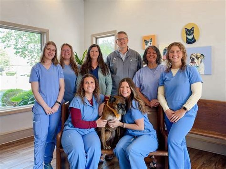 Explore April Storey Mackey Death , Associate Veterinarian at Towne South Animal Hospital