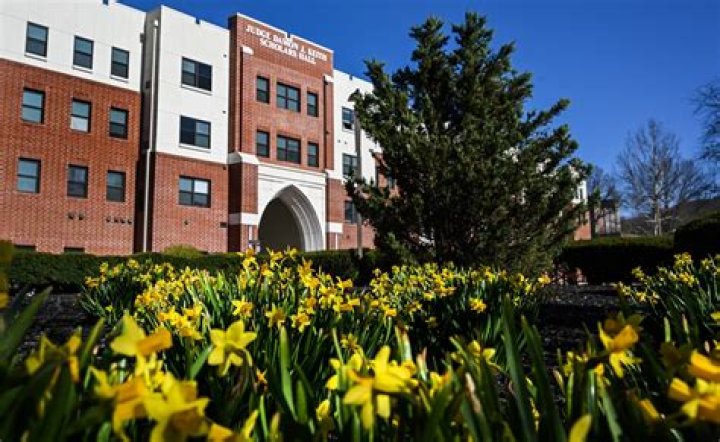Explore David Topol Obituary, University Of Charleston Longtime Member