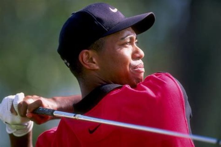 Famous Zimbabwean Golfers