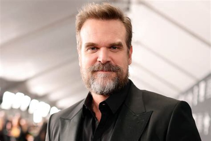
How Much Money Does David Harbour Make? Latest Income Salary
