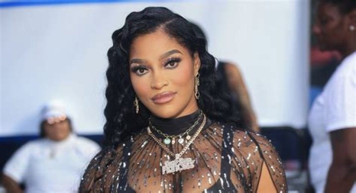 
How Much Money Does Joseline Hernandez Make? Latest Income Salary
