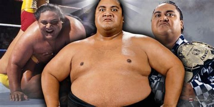 
How Much Money Does Yokozuna (Wrestler) Make? Latest Income Salary
