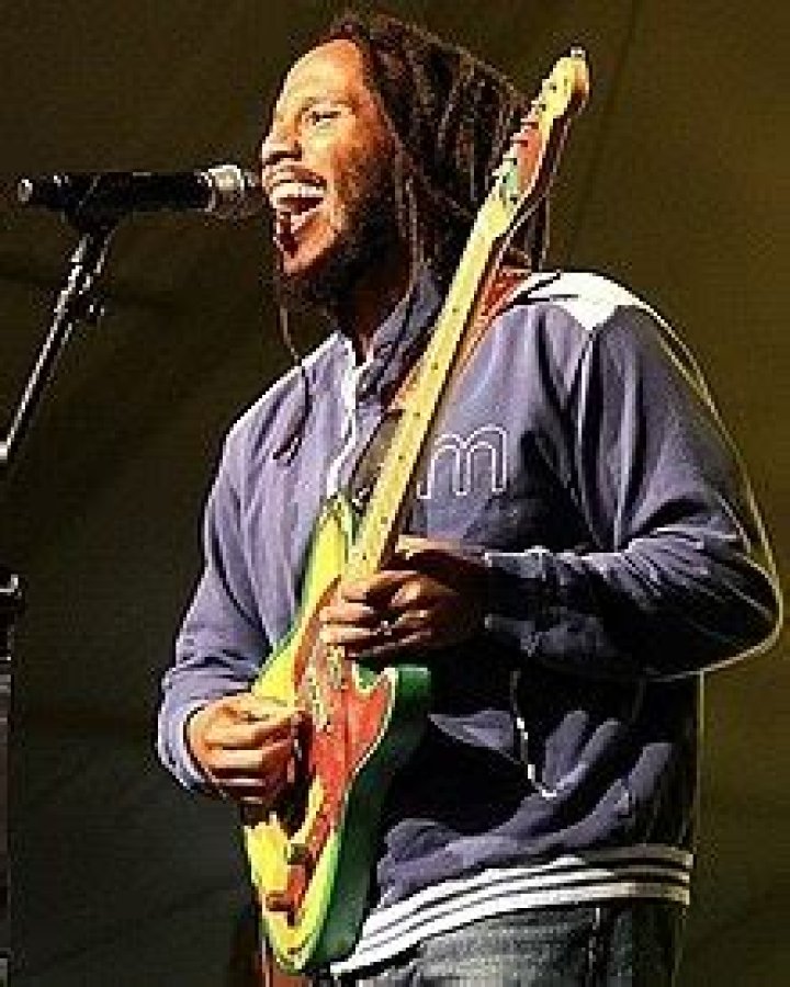 
How Much Money Does Ziggy Marley Make? Latest Income Salary
