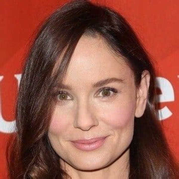 Sarah Wayne Callies - Bio, Facts, Family Life of Actress