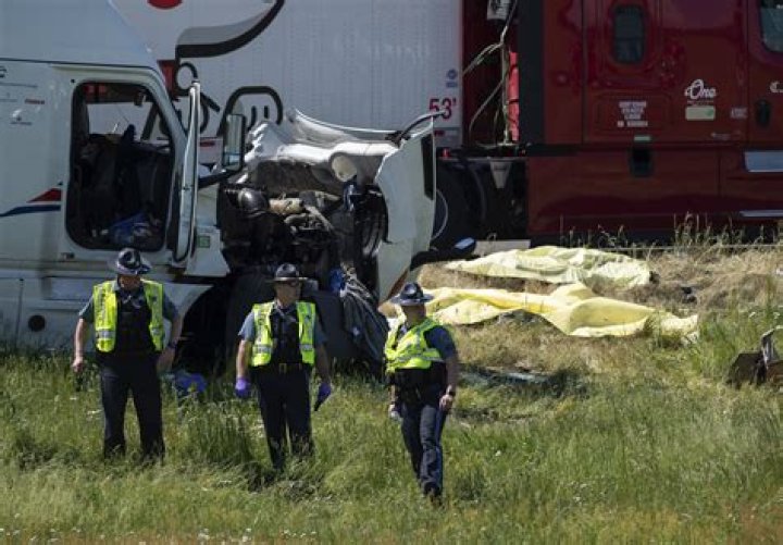 Vlad Saban Dies in Fatal Accident; Theresa Timmons Critically Injured.