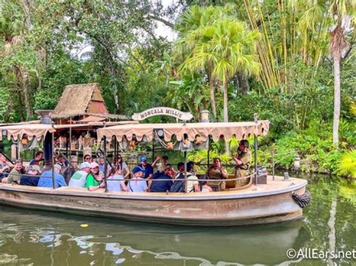 Was the Tiger Real in Jungle Cruise? – Celebrity
