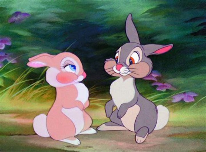 What are the names of the bunnies in Bambi? – Celebrity