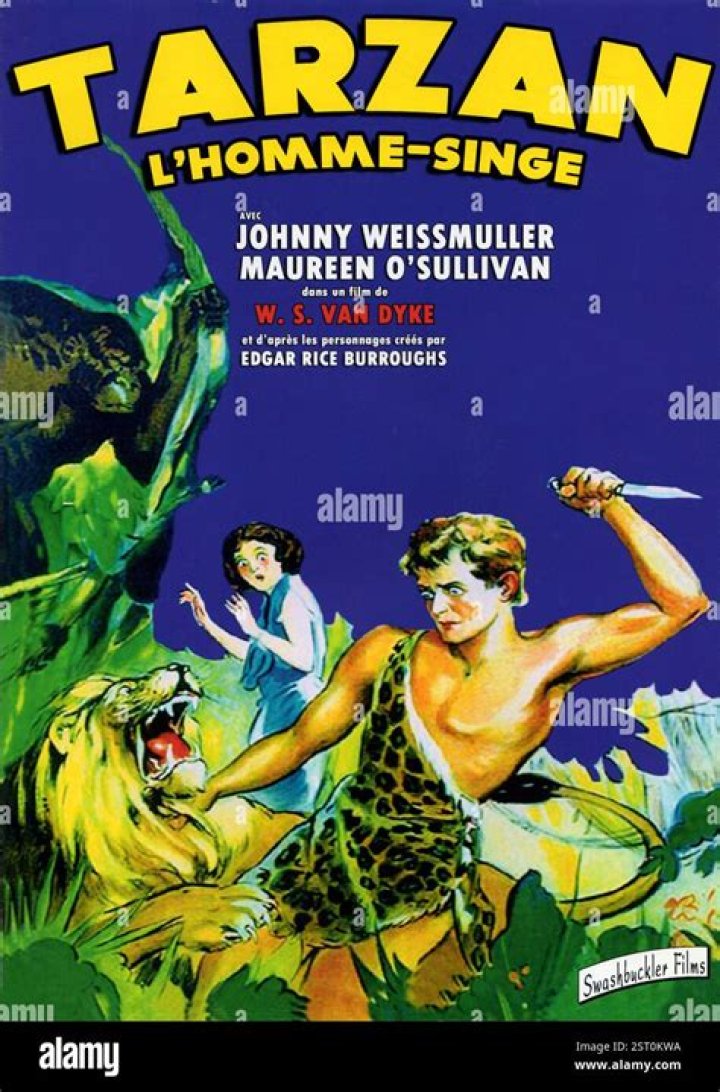 What did Tarzan call elephants? – Celebrity