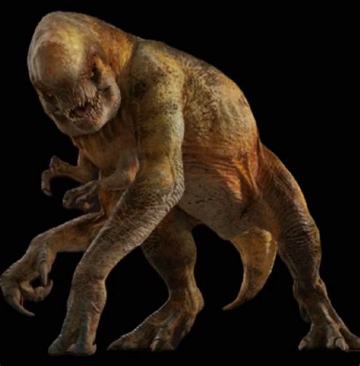What does Mr Rex look like? – Celebrity