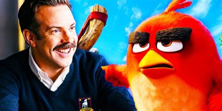 What does the Orange Bird do in Angry birds? – Celebrity