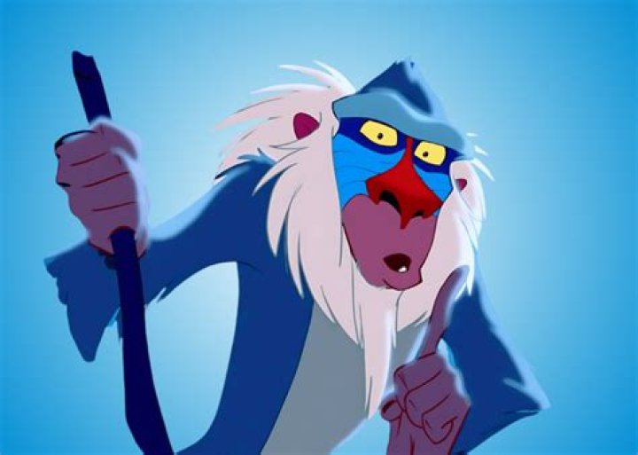 What is on Rafiki stick? – Celebrity