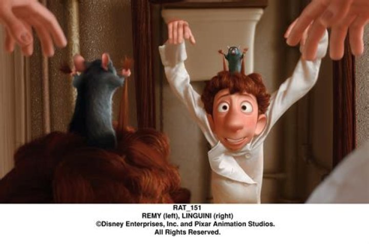What year is ratatouille set in? – Celebrity
