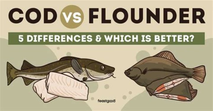 Which is better cod or flounder? – Celebrity