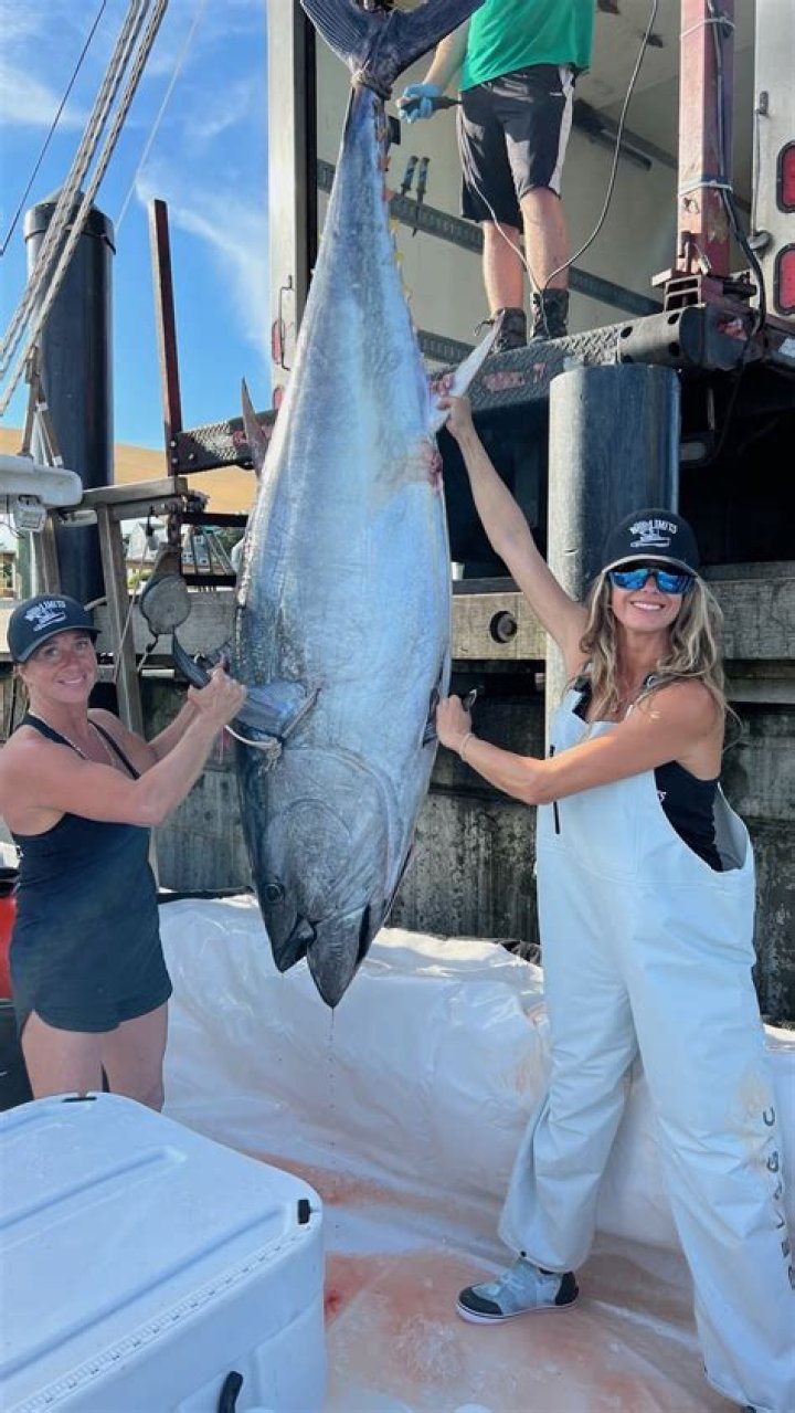 Who Has Caught The Biggest Tuna On Wicked Tuna? – Celebrity