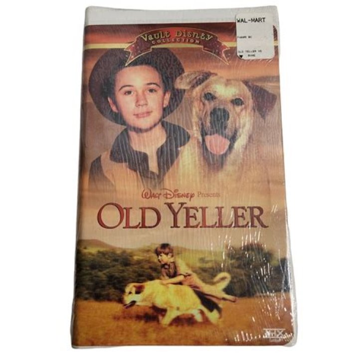 Who is the protagonist and antagonist in Old Yeller? – Celebrity