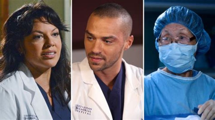 Why Is Bokhee On Grey’S Anatomy? – Celebrity